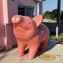 피기스도넛 | 기장 카페 핑크 컨셉 사진맛집 피기스도넛