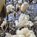 경기도박물관 이미지