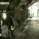 금치농장 이미지