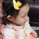 프루티팜 이미지