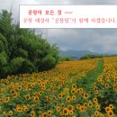 봉암동256 이미지