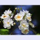 곡성-068 이미지