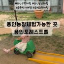 이문85 | 용인아이랑가볼만한곳 농장체험까지 가능한 용인포레스트벨 추천