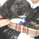 육동시장 이미지