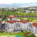 표선면 표선중학교 이미지