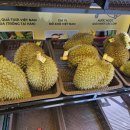 백과아시아마트 이미지