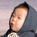 꾸꾸 이미지