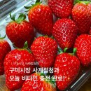 우리청과 | 구미과일가게 구미시장 사계절청과 타이벡귤, 딸기, 망고, 참외 포장, 주차정보