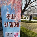(주)에이원생명과학 | 수원 용인 벚꽃 명소 경희대 국제캠퍼스 추천