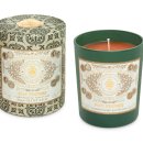 노벨라사 이미지