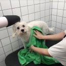 올리스24(세종점) 이미지