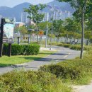 가산공원 풋살장 이미지