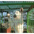 대명마트 이미지