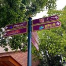 소로4-사정11호선 | 4월 중순 아이들과 함께 다녀온 상하이 디즈니랜드 - 현실과 절망편(낮 최고 기온 32도🔥)