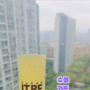 슈가잇비