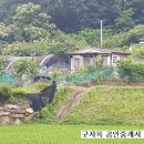 구자옥공인중개사사무소 이미지