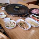 산천오리 이미지