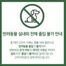 올데이브런치카페 | [올데이 브런치 카페] 안성 대형카페 내돈내산 솔직후기