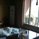 달빛 아리수 이미지