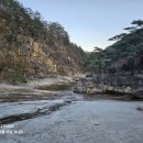 신선1호 이미지