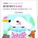 캔디 티스토리