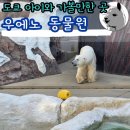 펭귄각종과학관 | 도쿄 우에노역 아이와 가볼만한 곳 우에노동물원 12세 이하 무료 입장