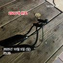 폴짝폴짝 줄넘기 이미지