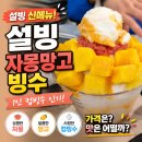 설빙강화점 | 설빙 자몽망고빙수 1인 컵빙수 인기, 가격 맛 비교
