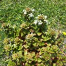 바닷가엄마집 이미지