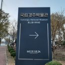 경주 벚꽃길따라 도보여행 이미지