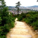 남산로R 이미지