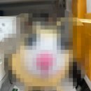 김한식베이커리 이미지