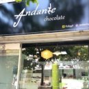 안단테초콜릿(Andante chocolate) 이미지