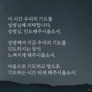 새사랑어린이집 이미지