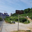 창원 주의수 묘 이미지