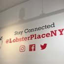 [뉴욕 여행] In 뉴욕 New York
