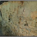 안제의원 이미지