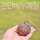 협동조합 아우내공동체 | 천안 여행 가볼만한곳 아힘나공화국 충남투어패스 커피박 설거지비누 만들기 이색체험