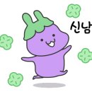 베리핏 이미지