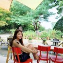 브라운필상도 이미지