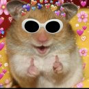 바오고스 | [해외여행] 중국, 칭다오 중국 유학생이 낋이는 3박 4일 여행 톺아보기