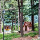 (주)모던항공여행사 이미지