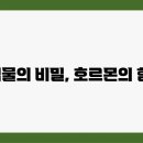 생장 이미지