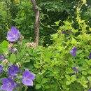 수천농장 이미지