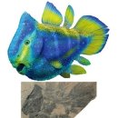 D00537 | 푸른 바다의 전설 (2)