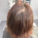 롬헤어 | 의정부 미용실 뿌리 볼륨 파마 후기 – 헤어신비롬 방문기