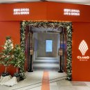 디 오아시 이미지