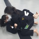 미르 주짓수 유도관 이미지