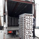 미석농장 이미지