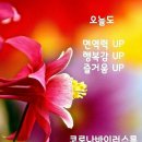 오늘도점핑&체온